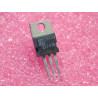 Lot de 2: transistor SEF 830 ~ N-channel MOSFET (equivalent BUZ41A) ~ TO-220 sgs (4I1)