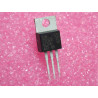 Lot de 3: NPN Si power darlington transistor TIP122 (complementary PNP : TIP127) Vce 100V , Ic 5A , hFE 1000 Jedec TO-220 (4I1)